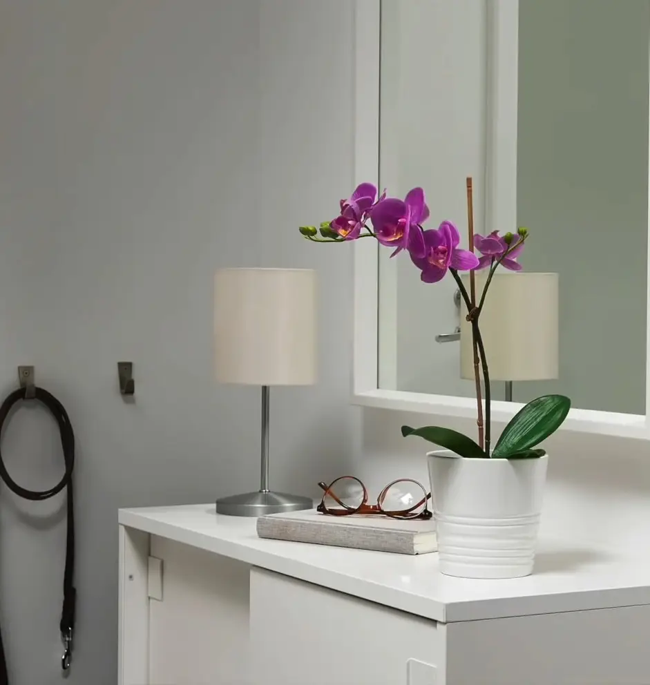 neutral color vanity area