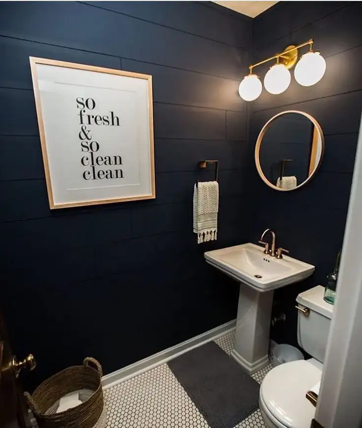 Bold and Dramatic in a mobile home bathroom
