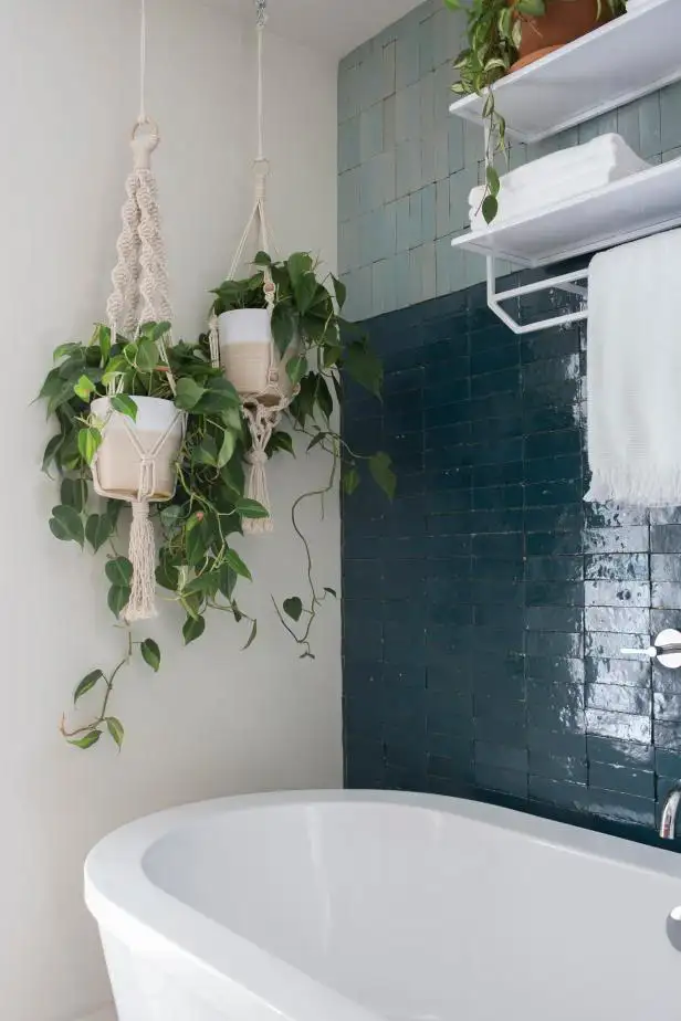 Hanging plants and small succulents in mobile home bathroom