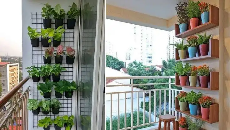 vertical garden in the balcony
