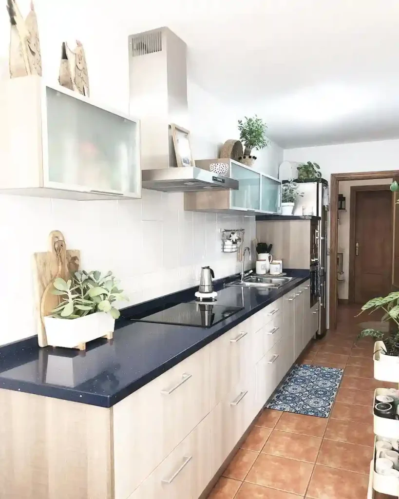 kitchen with a indoor plants